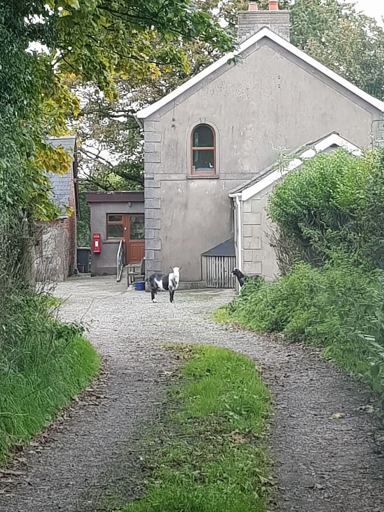 Photo 33