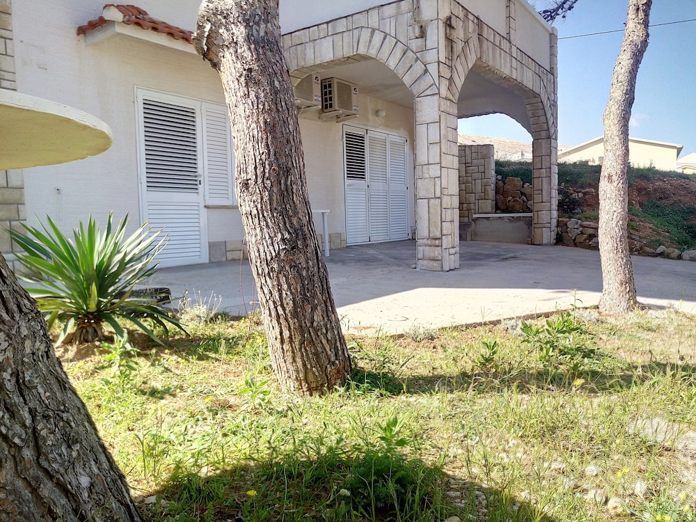 Photo 29