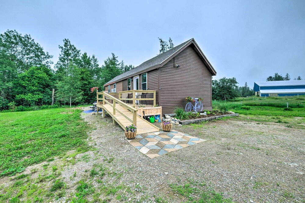 Photo 11