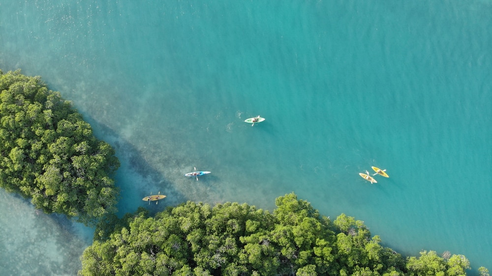 Shaka Caye