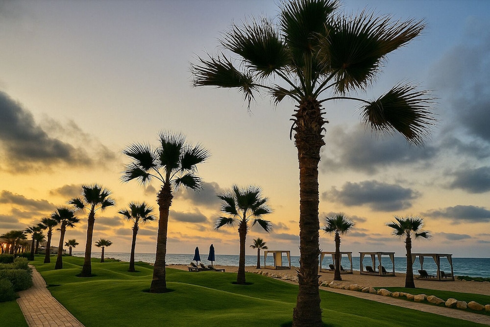 Porto Saeed Rentals 1