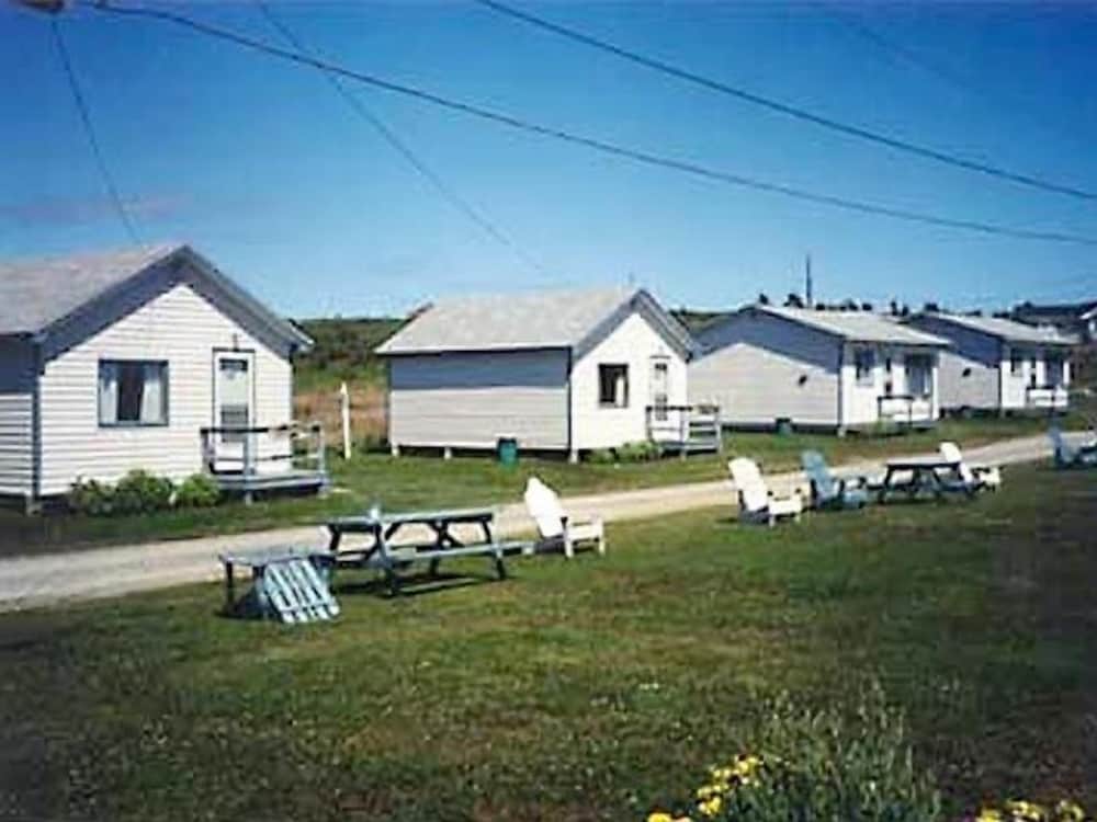Photo 49