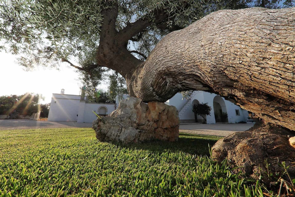 Agriturismo Masseria De Michele
