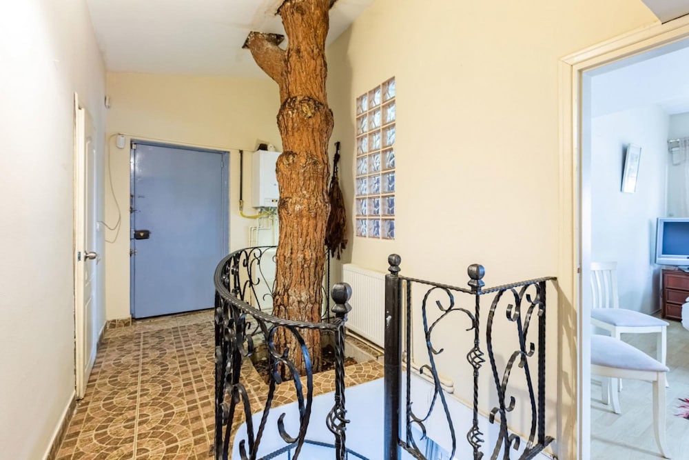 Unique House With Tree Inside Near Sea in Maltepe