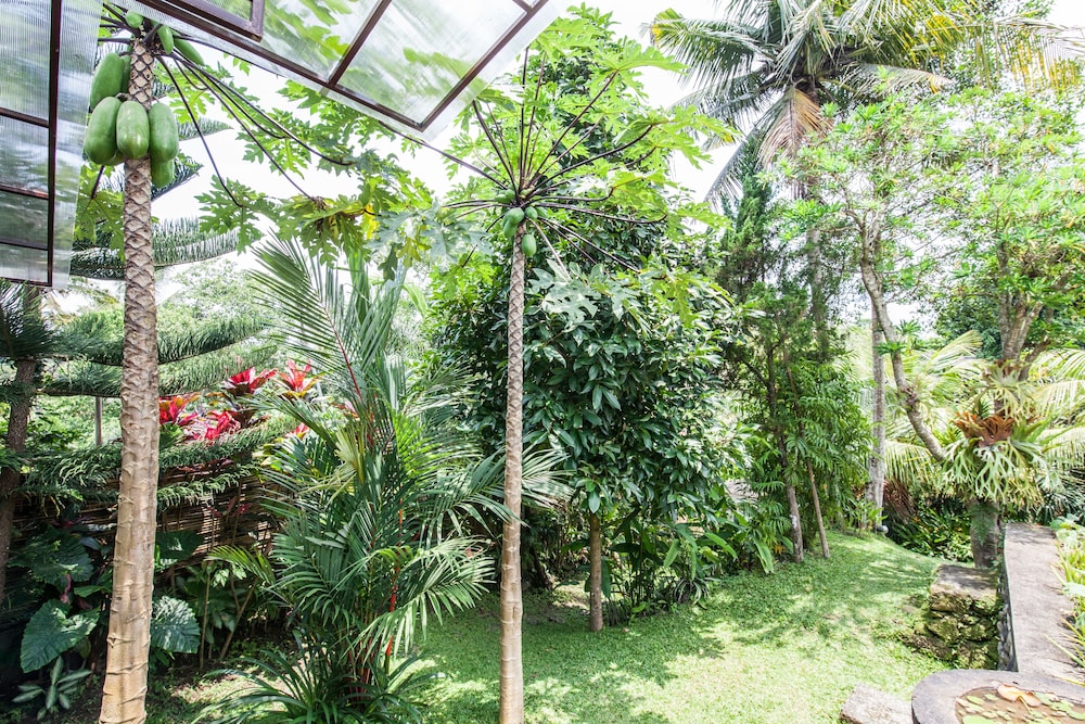 Villa Cinta