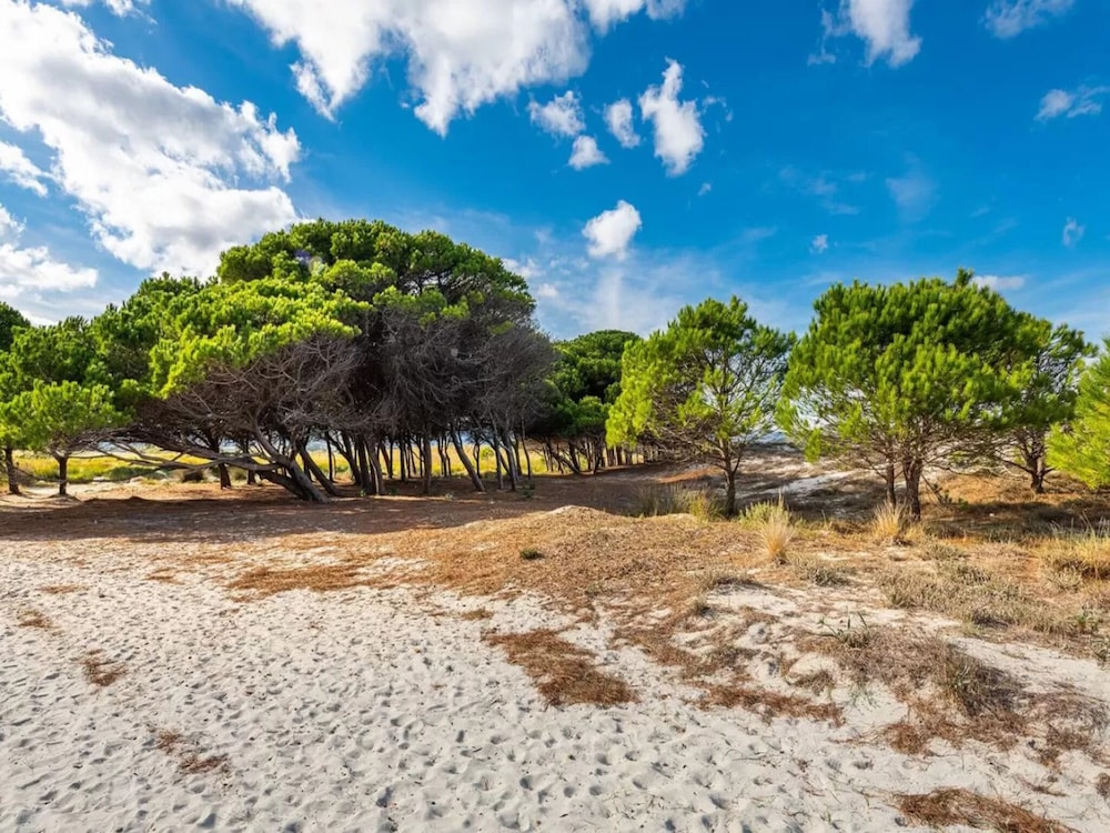 Elegant Three Room Apartment in Porto Torres