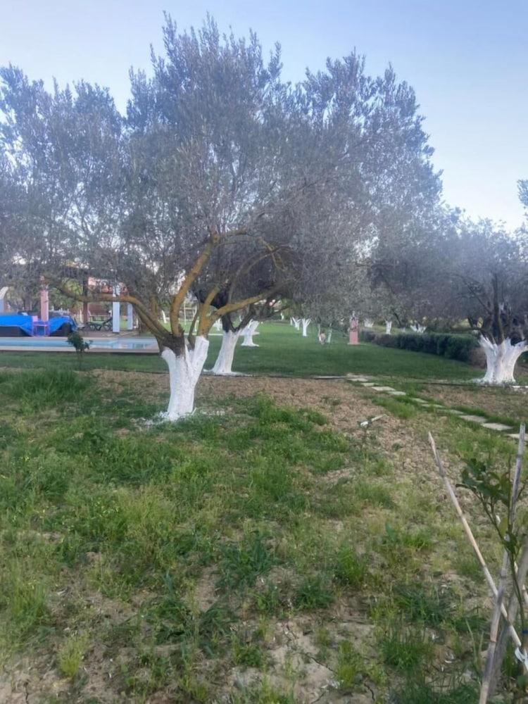 Villa Lilandion Luxury and Privacy, photo 129