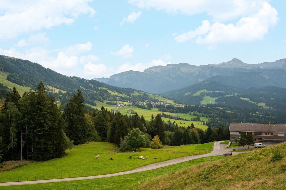 Dog-friendly Holiday Apartment in Bregenzerwald