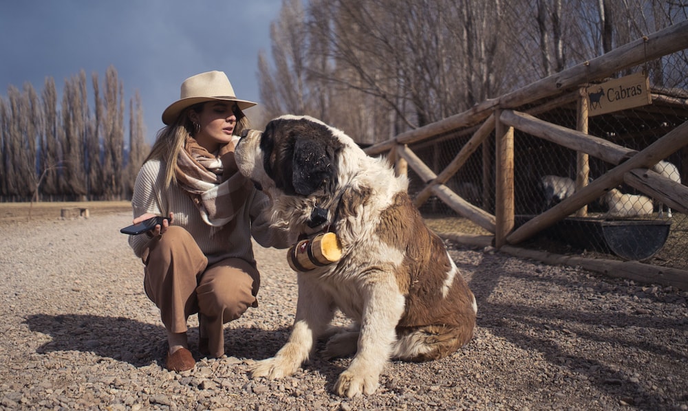 Cinco Cumbres luxury Camp & Eco Lodge