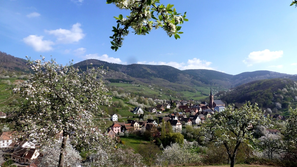 Les Gites La Cerisaie, Billede 47