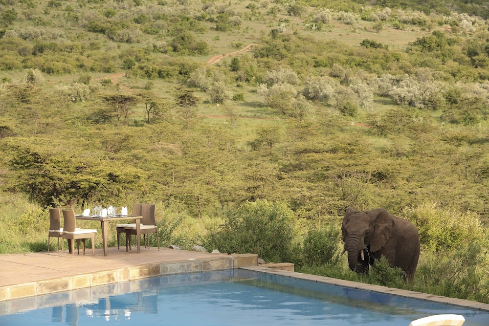 Spirit Of The Masai Mara
