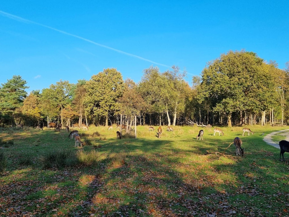 5 Star Holiday Home in Bogense