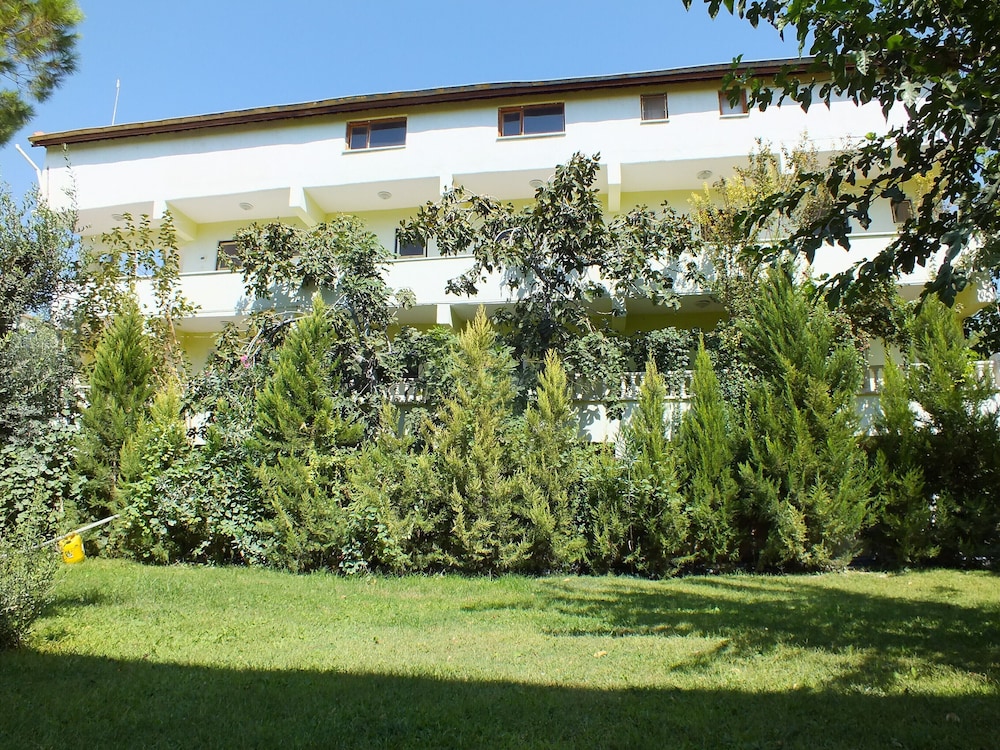 Photo 12