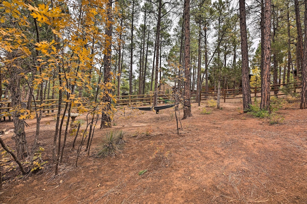 Pet-friendly Show Low Cabin w/ Trail Access!