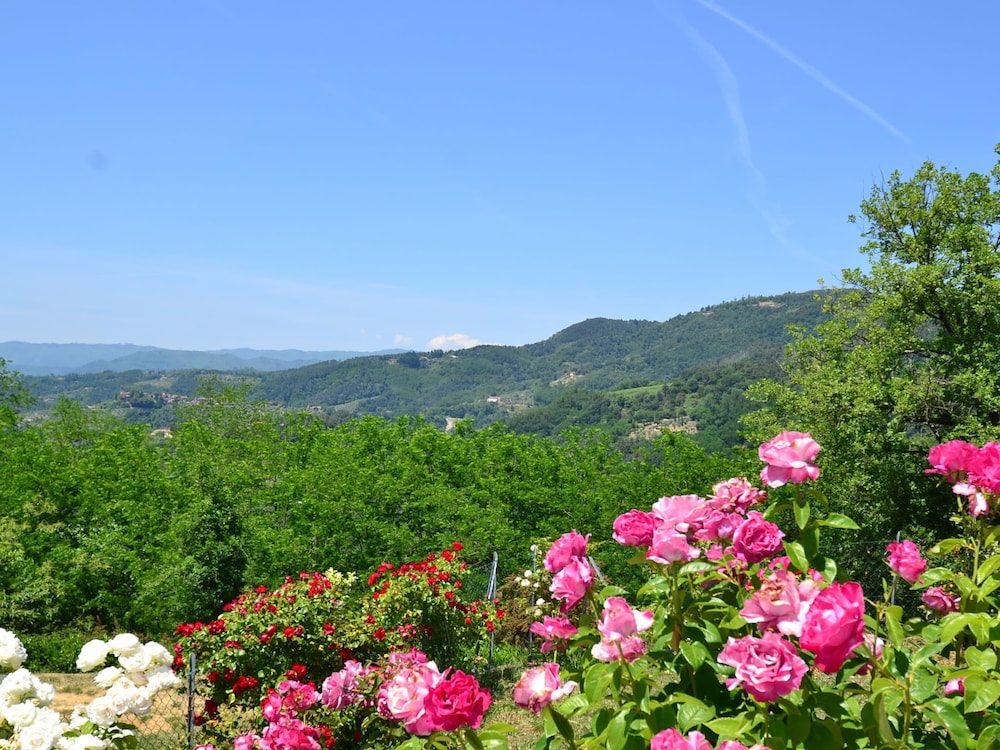 Cottage in Tuscany With Private Pool view 5