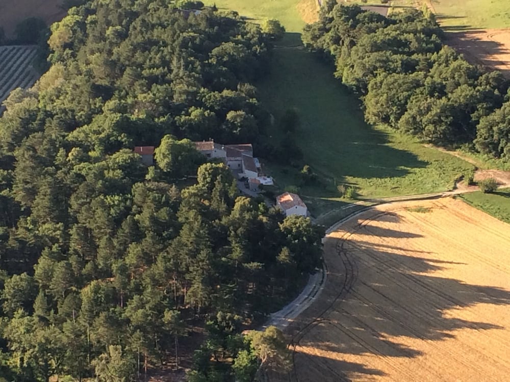 Les Ânes de Forcalquier