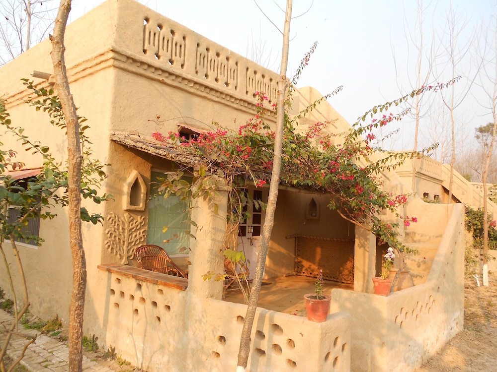 Punjab village farm near Amritsar