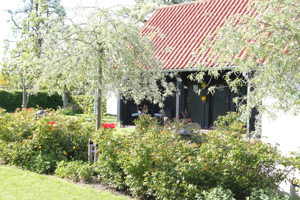 Photo 12