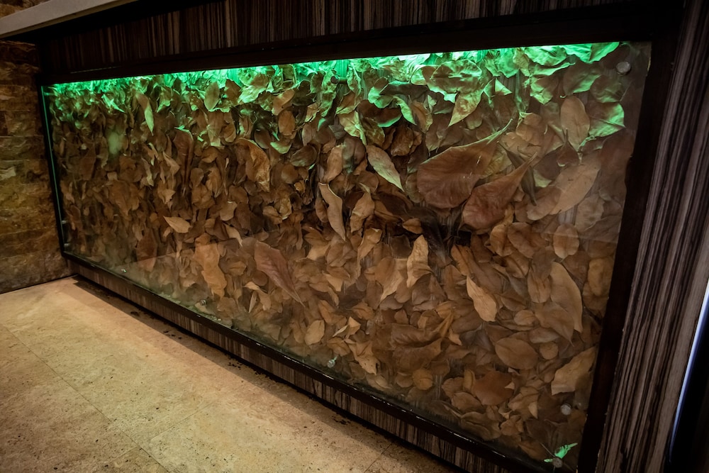 Ciqala Suites Hotel - Property Image 3