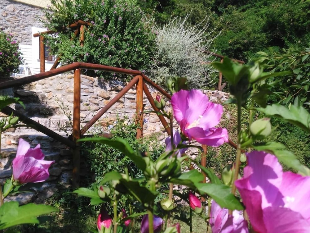 Photo 27