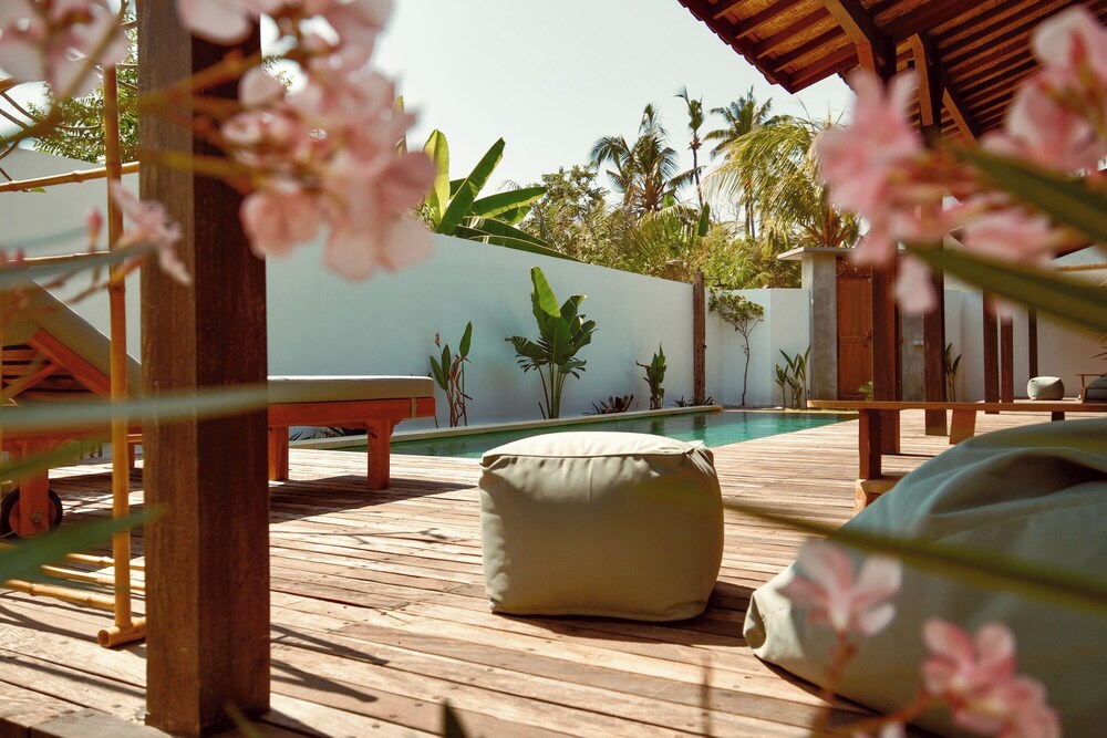 Palm Paradise view 5
