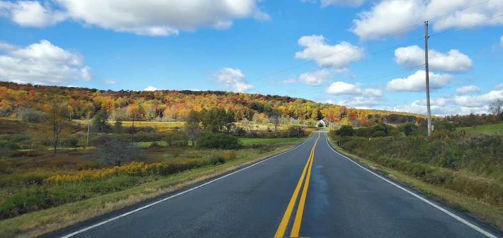 Catskill Retreat