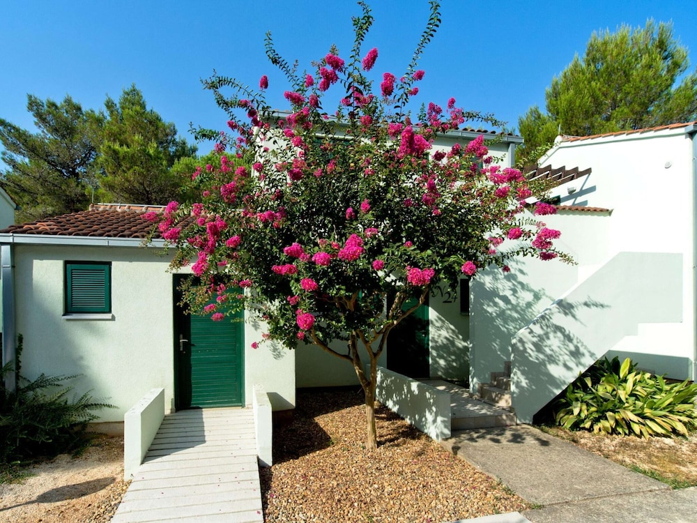 Apartments in Zaton With Pool