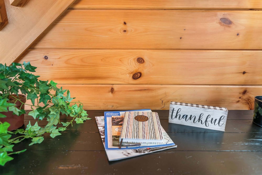 New! Riverfront Retreat Sleeps 12 Ellijay
