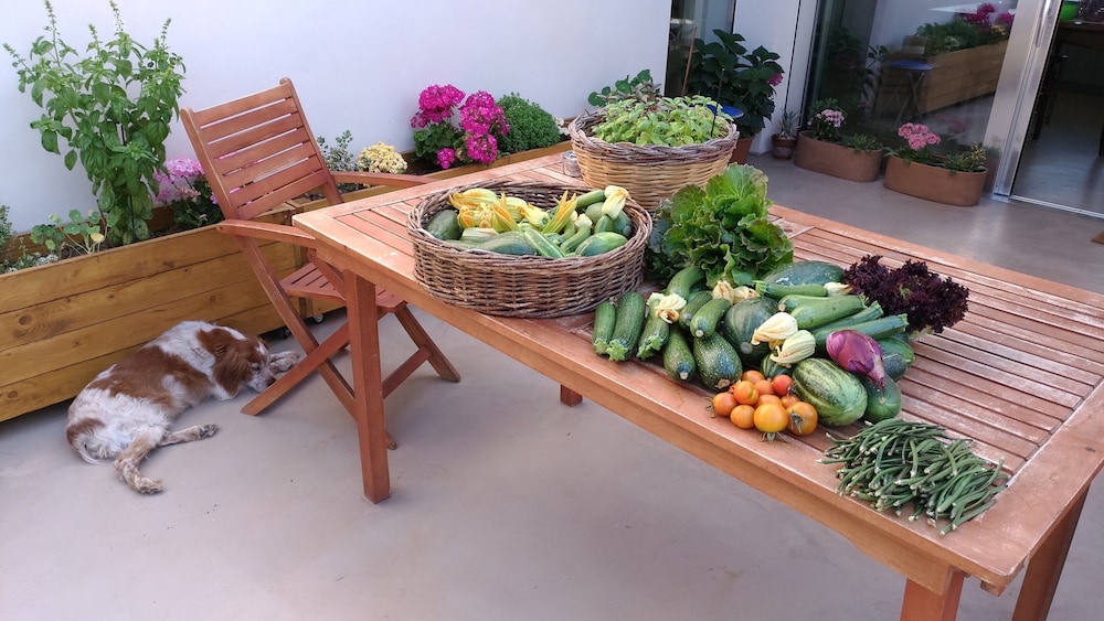 Giardino del Tempo