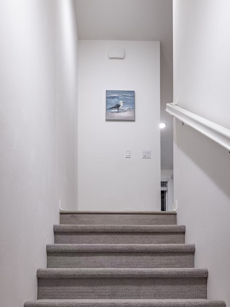 Near ONT Modern Designer Stay Bright Chic Spacious