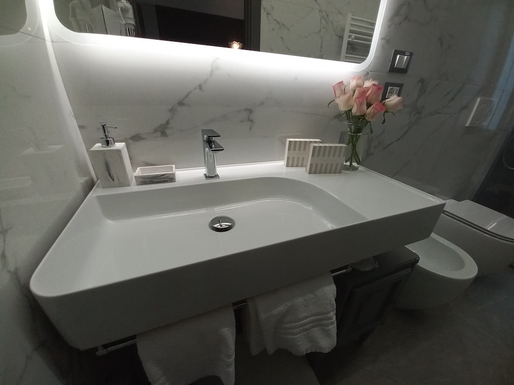 Dorolea Rooms Torino Centro