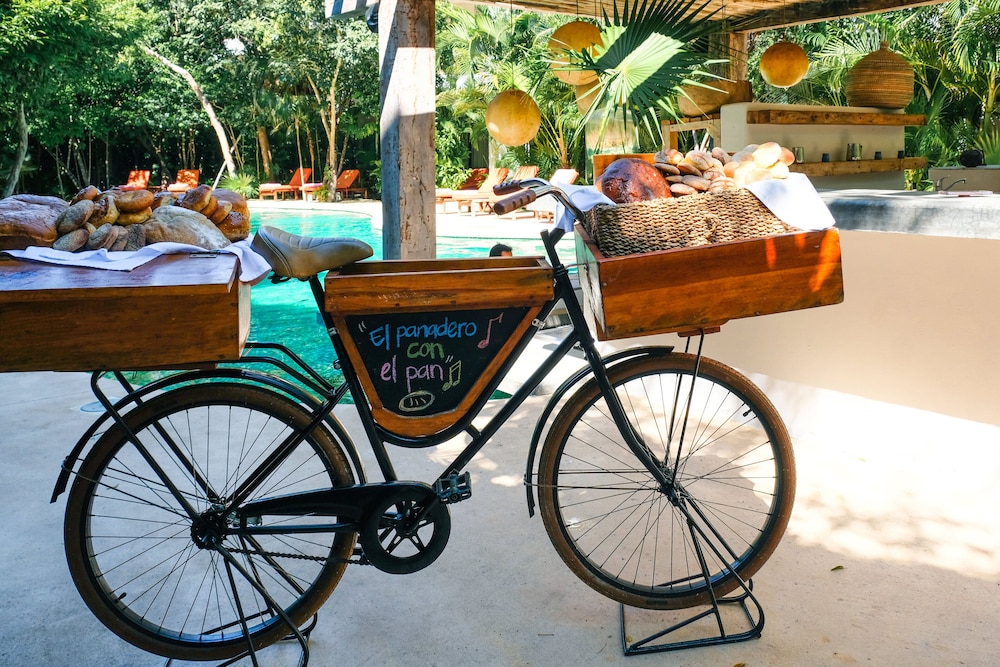 Kimpton Aluna Tulum, an IHG Hotel - Property Image 124