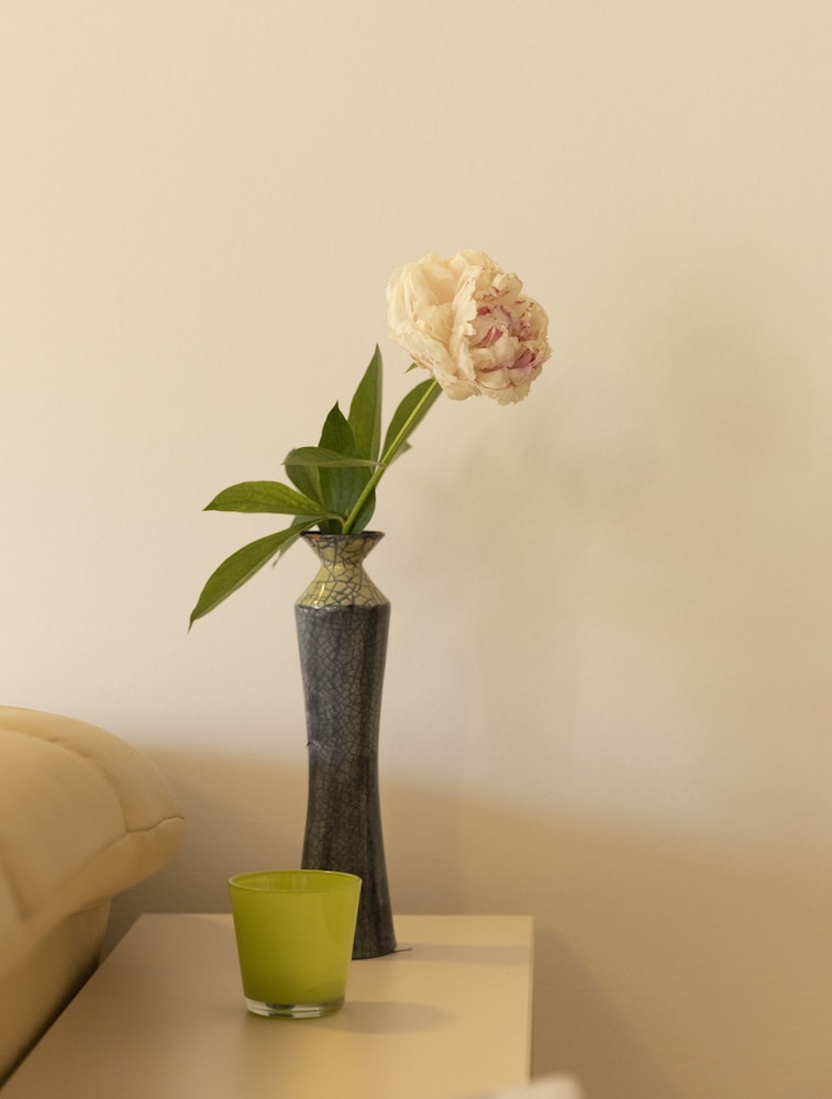 Apartment Vala