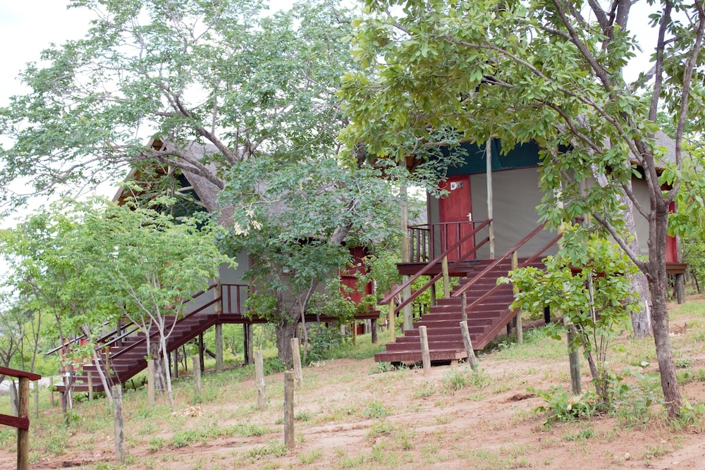 Lion Roars Lodge