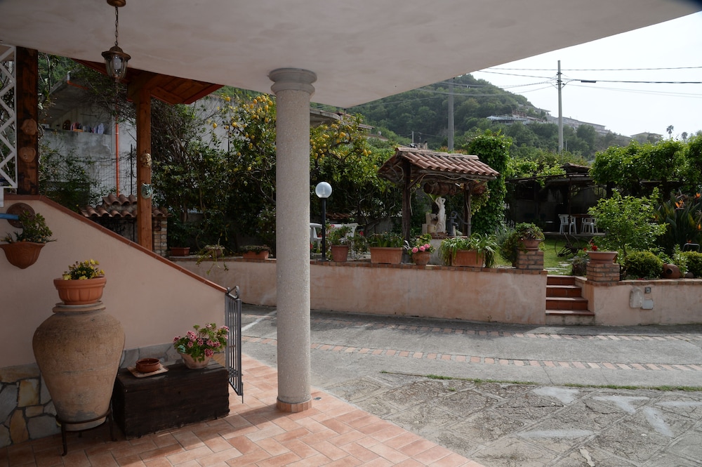 Photo 10