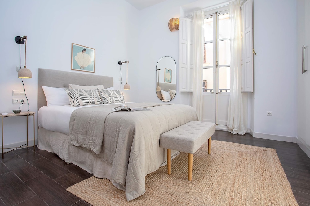 Luxury Apartment in Malaga. Larios VI