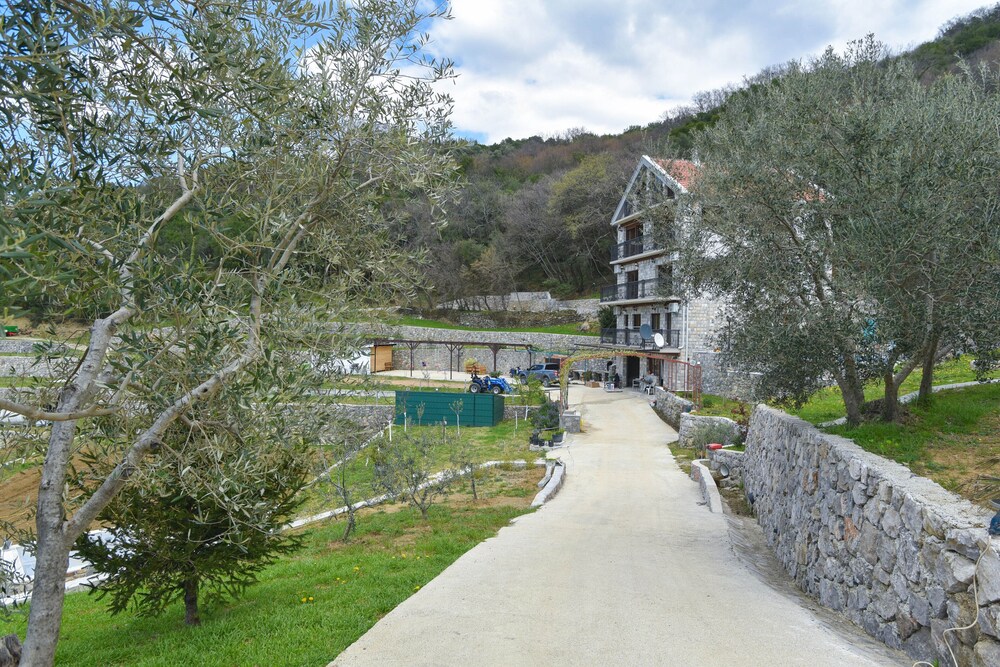 Photo 45