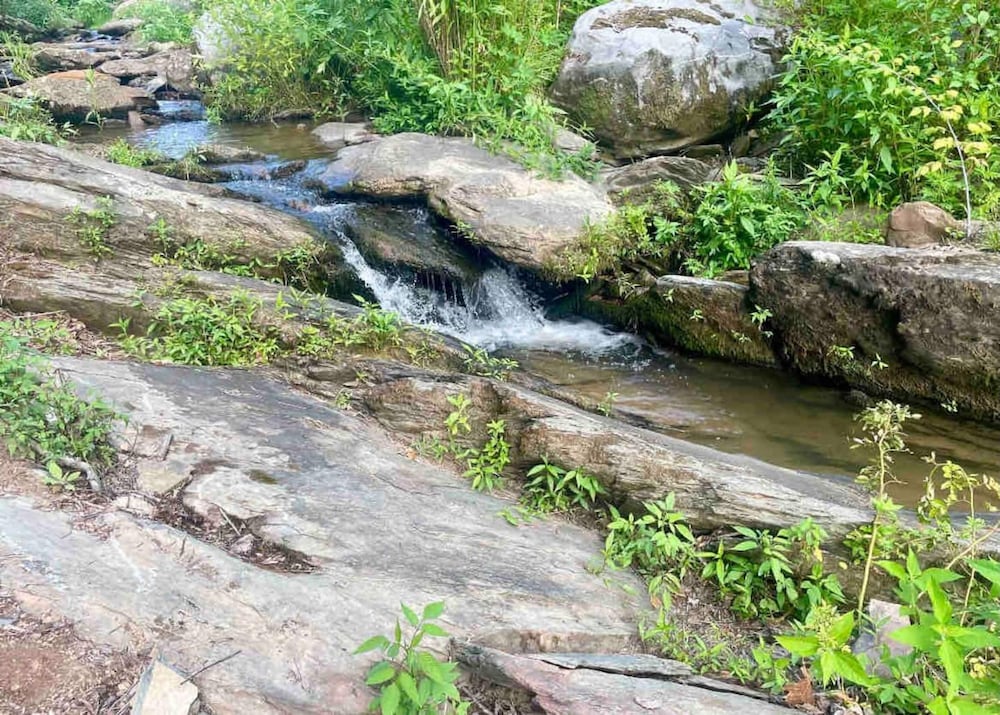 Whispering Waters Dome Getaway