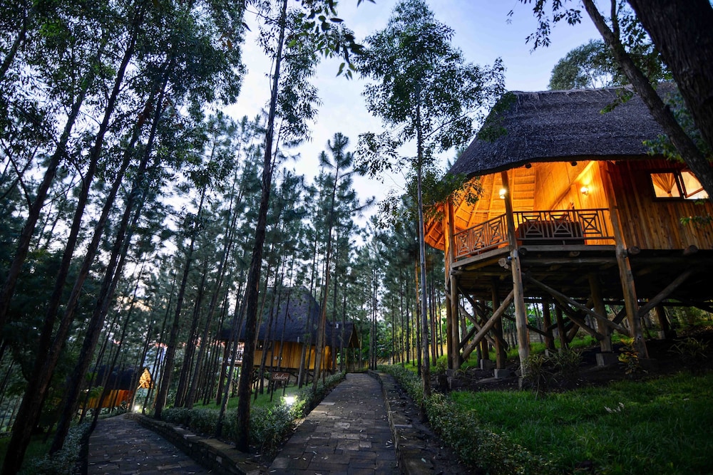 Parkview Safari lodge