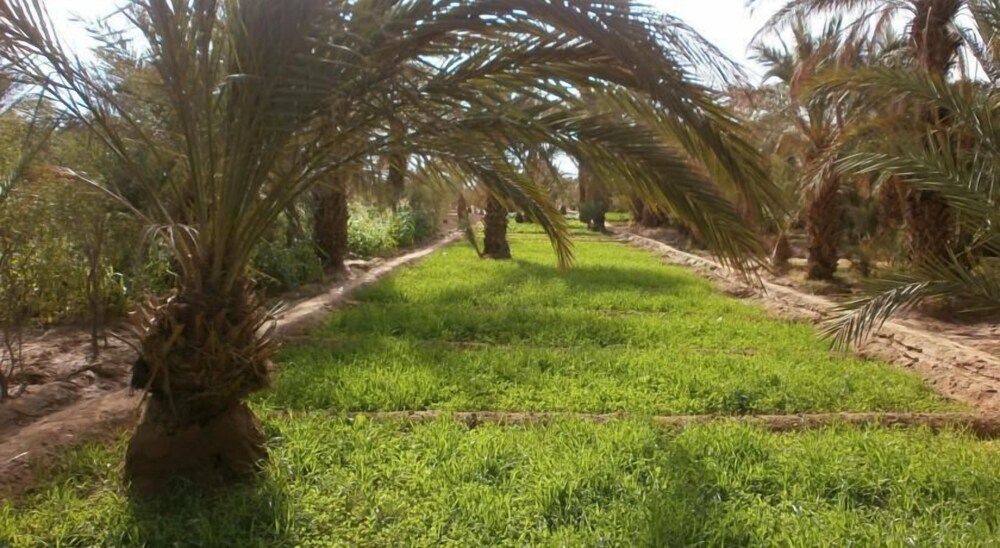 Kasbah sable dor