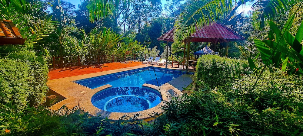 Hotel Cabinas Costa Tropicana - Image 1