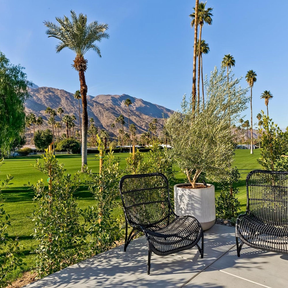 Indian Canyon Oasis in Palm Springs