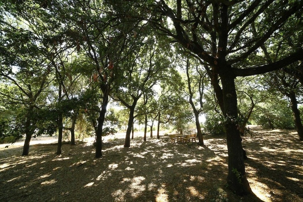 Masseria Gialli