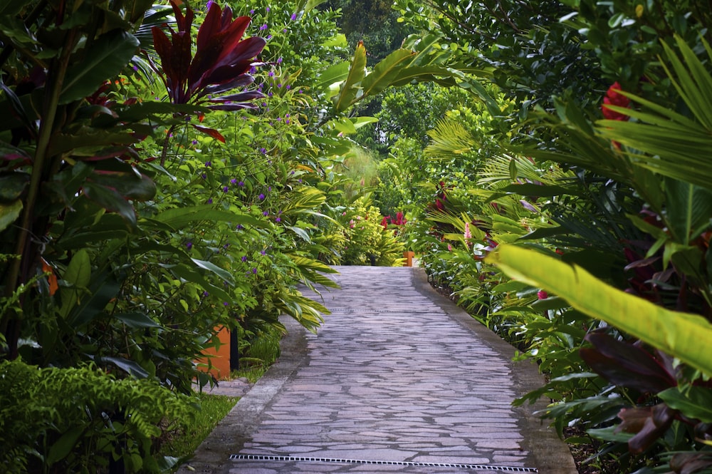 Nayara Gardens - Property Image 5