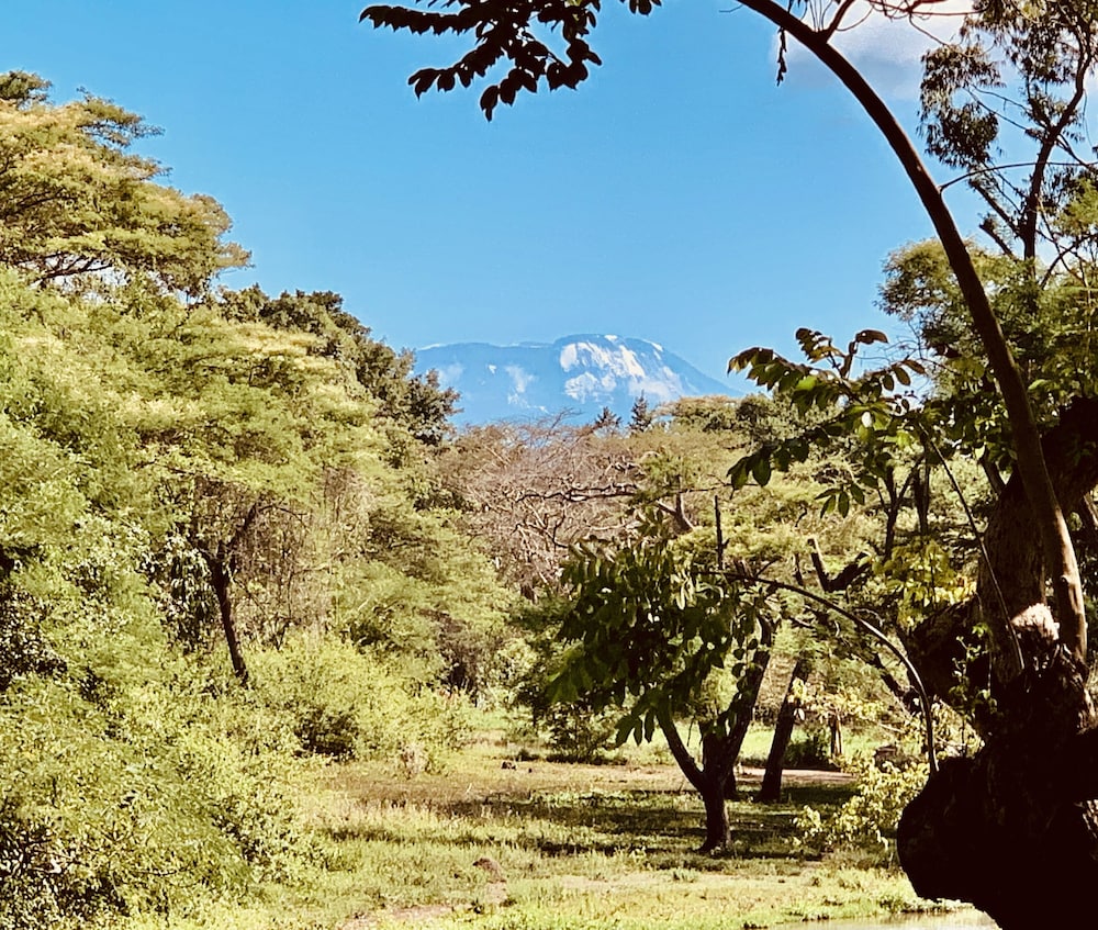 Mount Meru Game Lodge