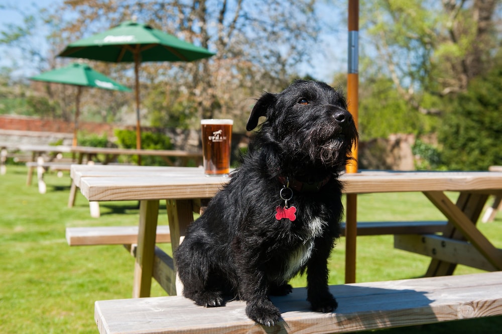The White Hart, South Harting