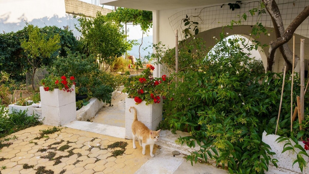 Emphasis Traditional House