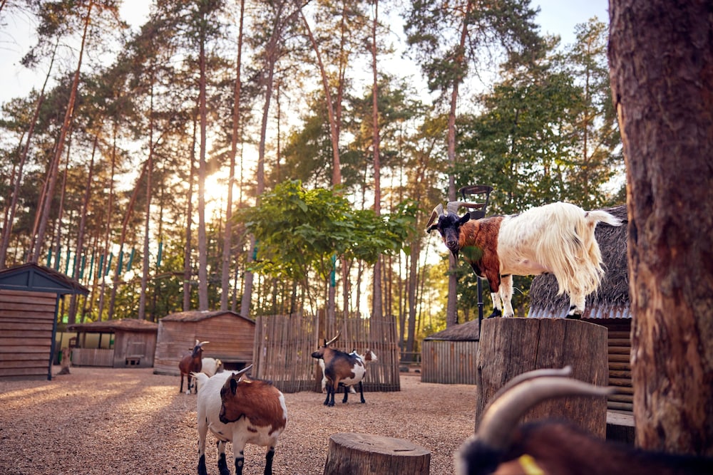 Center Parcs Les Hauts de Bruyères