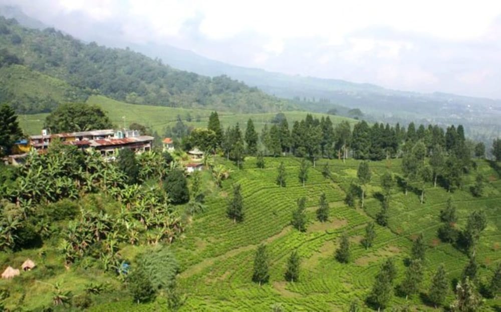 Pondok Lariska - Property Image 4