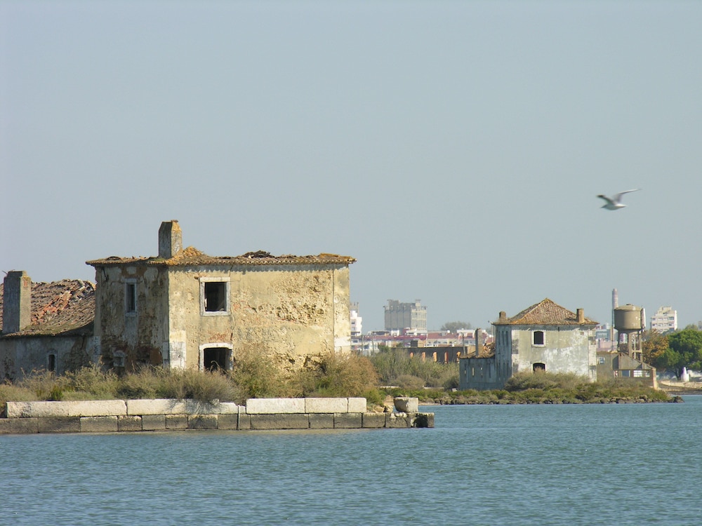 The Boat
